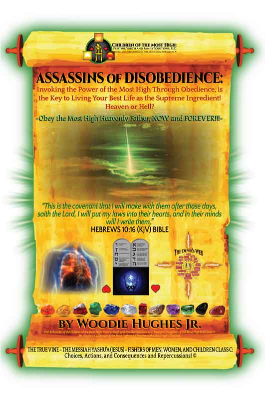 assassins of disobedience book cover front