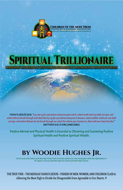 Spiritual Trillionaire book cover front