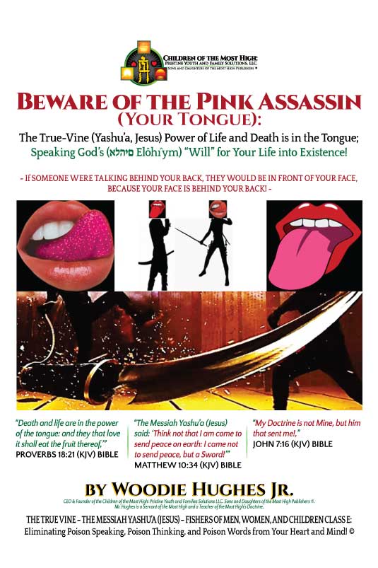 Pink Assassin book cover front